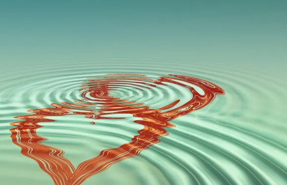 벳코코 카지노 지원